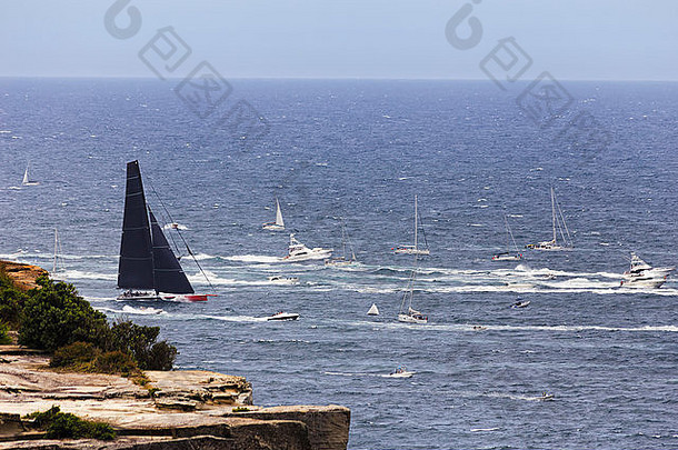 领先的超级马克<strong>西游</strong>艇黑色的帆清算悉尼港头包围船观众悉尼霍巴特亚克