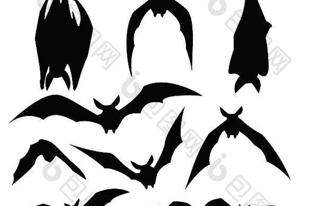 各种运动的蝙蝠轮廓，供设计使用。