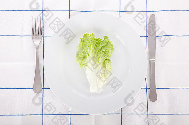 在菜上放一片莴苣叶的饮食概念