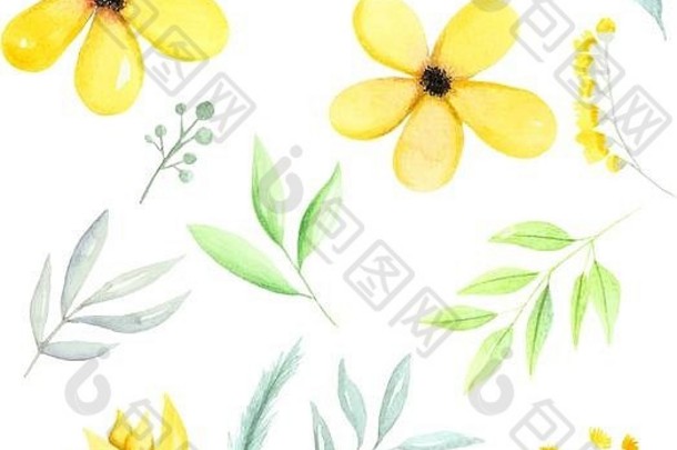 黄色的水彩植物元素黄色的花绿色叶子分支机构手画水彩插图手画