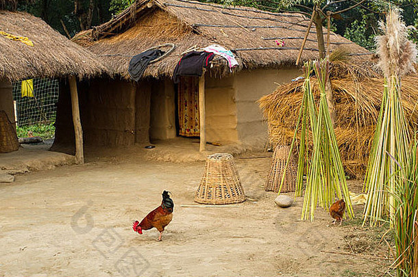 尼泊尔吉特万的尼泊尔传统农场