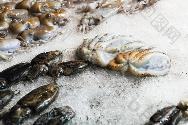 新鲜的小章鱼和墨鱼躺在海鲜店的冰上