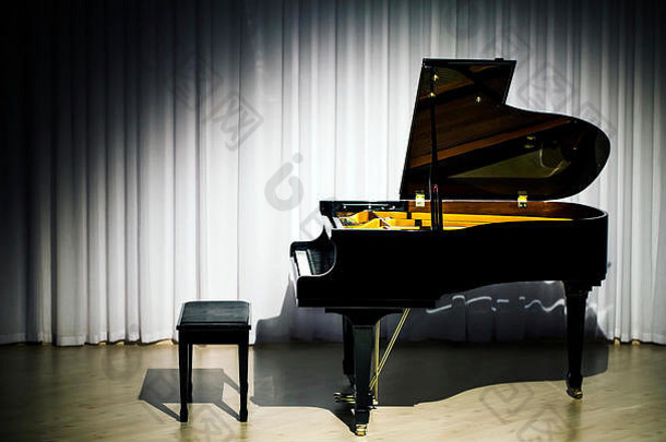 古典乐器音乐会钢琴现场照片