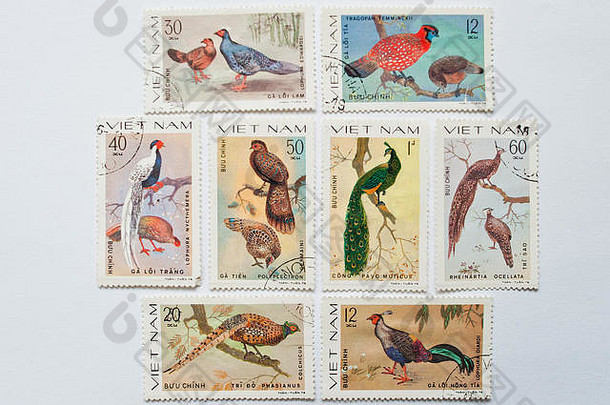 乌日哥罗德乌克兰约集合邮资邮票印刷越南显示鸟野鸡鹌鹑