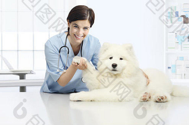 狗兽医检查微笑兽医检查狗的爪子表格兽医诊所
