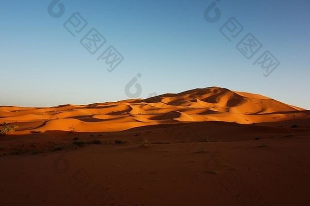撒哈拉沙漠沙子沙丘非常切比摩洛哥非洲