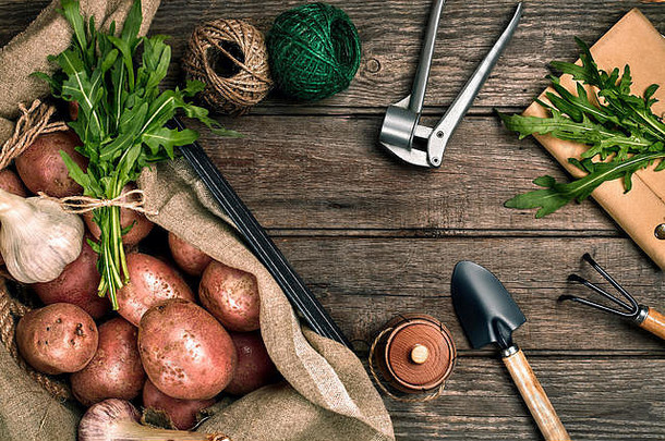亚麻袋中的生土豆、芝麻菜、大蒜、花园铲和耙子、食物背景、俯视图