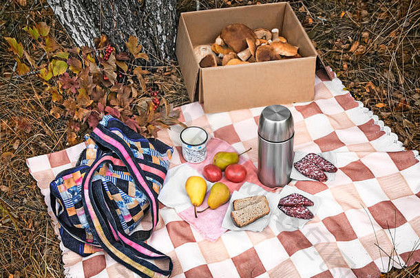 森林清算桌布谎言早餐香肠面包咖啡水果盒子收获蘑菇