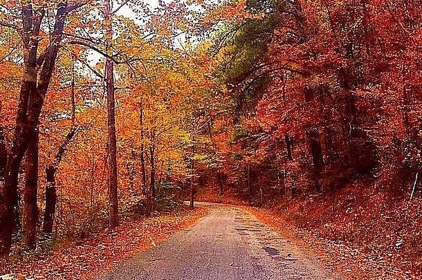 秋天阿拉巴马州