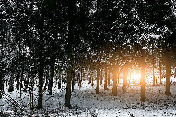 美丽的冬天日落喀尔巴阡山