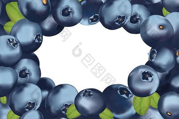 背景蓝莓复制空间文本新鲜选蓝莓绿色叶概念食物成熟的蓝莓丰富的维生素现实的插图