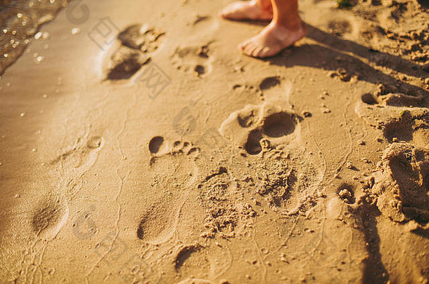 腿孩子们站海滩婴儿脚沙子夏天海滩背景夏季假期概念