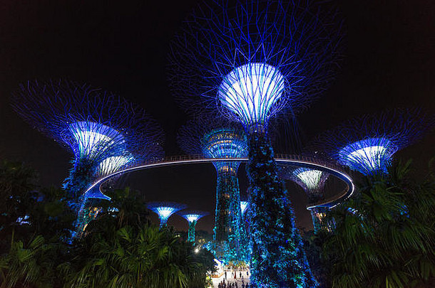 supertree花园湾玛丽娜湾新加坡亚洲