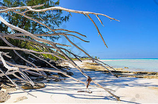 全景视图热带海滩playa皮拉尔植被卡约岛吉尔勒莫古巴