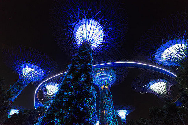 supertree花园湾玛丽娜湾新加坡亚洲