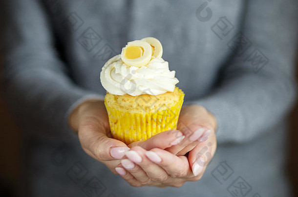 美味的蛋糕奶油甜蜜的蛋复制空间概念食物甜点面包店庆祝活动生日