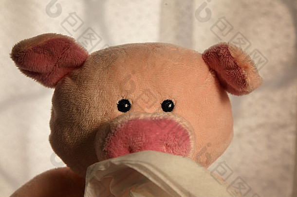 玩具猪纸手帕头拍摄
