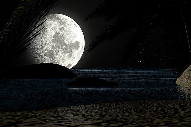热带海滩晚上月光布满星星的天空棕榈树