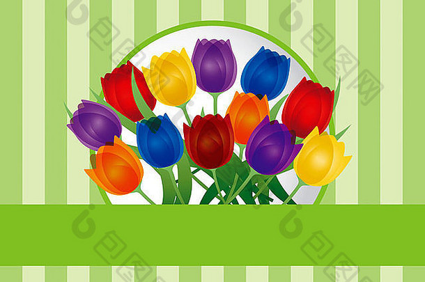 色彩斑斓的郁金香花复活节母亲一天绿色条纹模式背景插图