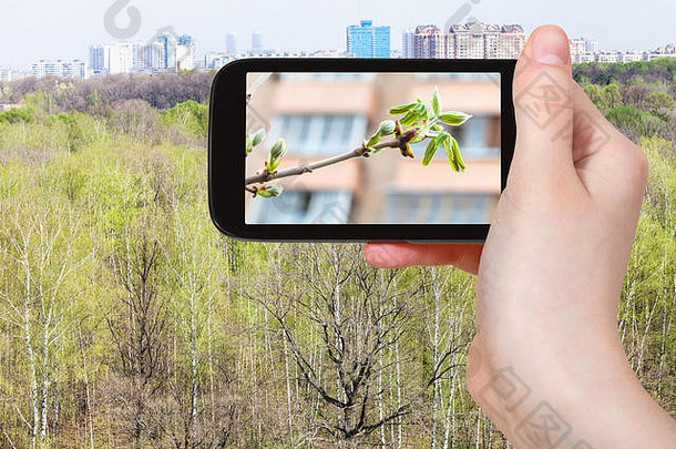 旅行概念<strong>旅游照片</strong>年轻的绿色叶子树timiryazevskiy城市公园莫斯科天际线俄罗斯早期春天智能电话