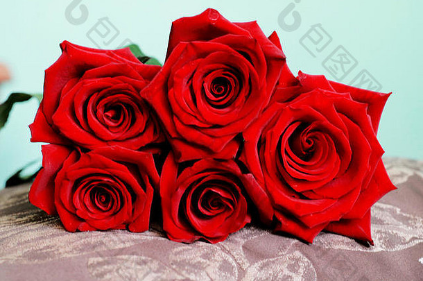 美丽的群黑暗红色的玫瑰枕头关闭视图快乐情人节一天婚礼爱生日背景问候卡壁纸礼物