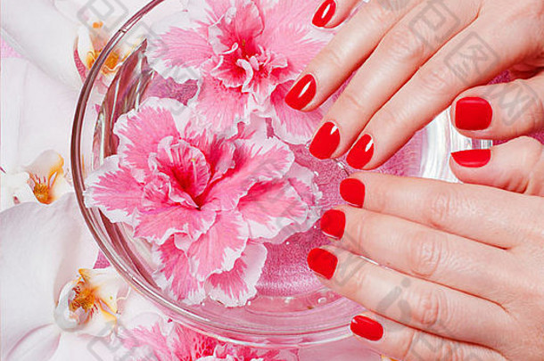 特写镜头女手红色的指甲波兰的背景花
