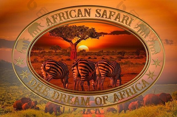美丽的图片非洲日落日出大象长颈鹿