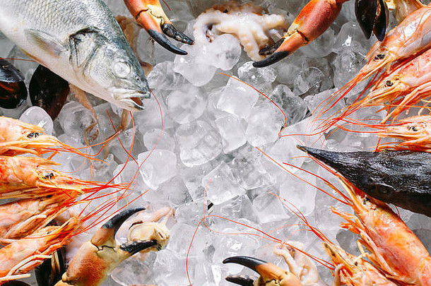 海鲜冰螃蟹鲟鱼贝类虾拉帕纳金白色冰