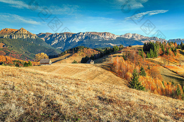 美妙的色彩斑斓的农村农村小木屋高山背景麸皮特兰西瓦尼亚罗马尼亚欧洲