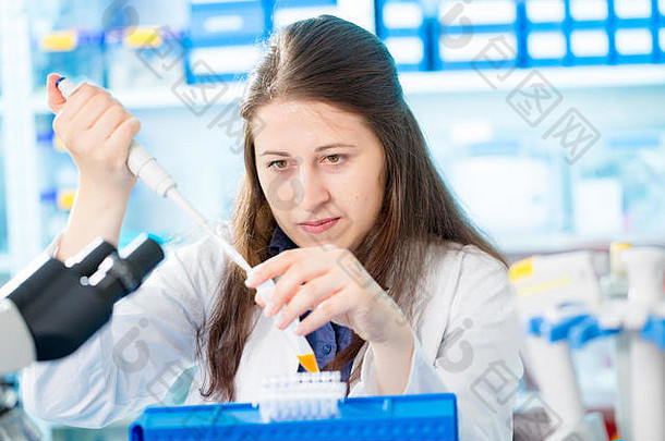年轻的女技术员遗传实验室聚合酶链反应