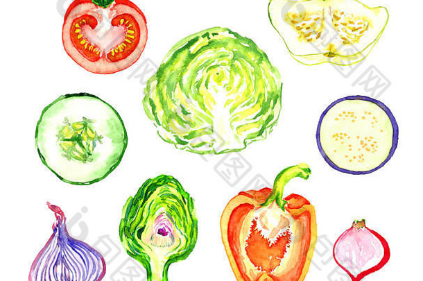蔬菜集合孤立的手画水彩插图