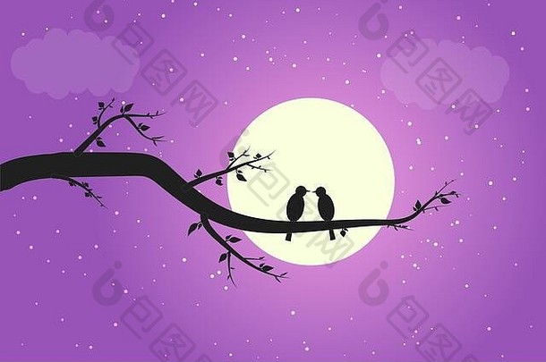 鸟爱分支月光影子鸟接吻背景完整的月亮紫色的天空