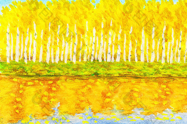 手画图片水彩画秋天景观黄色的桦木森林反射水