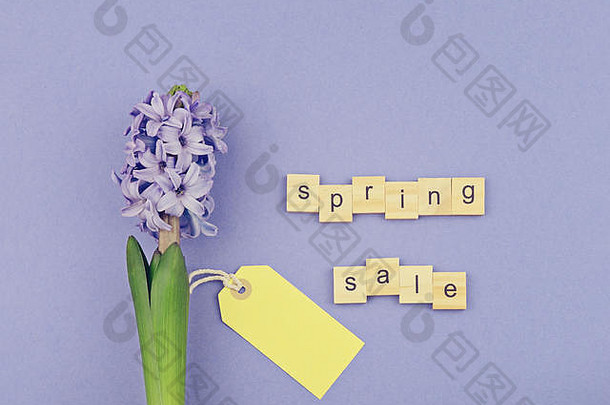 摘要春天出售概念新鲜的蓝色的风信子黄色的标签木信紫罗兰色的背景前视图平躺复制空间