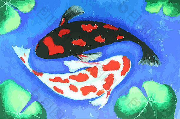 锦 鲤鱼游泳水绘画背景