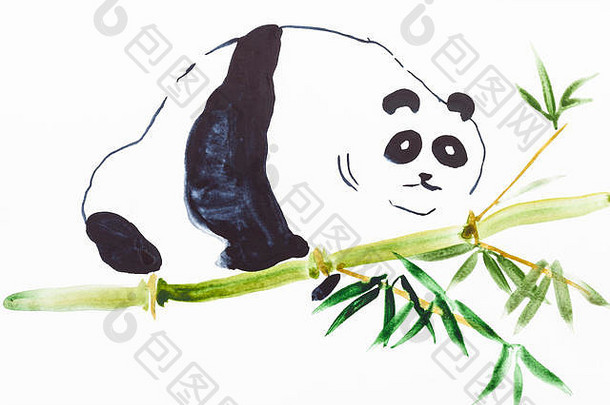 培训画水波谷风格水彩油漆熊猫竹子树干白色纸