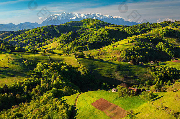 春天农村景观房子山坡上雪山背景霍尔巴夫村特兰西瓦尼亚罗马尼亚欧洲