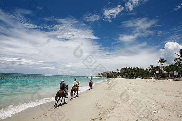 马回来骑热带海滩多米尼加共和国