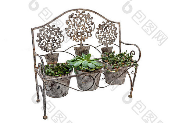 高前面视图古董华丽的生锈的造成铁板凳上安装花锅多汁的绿色植物白色
