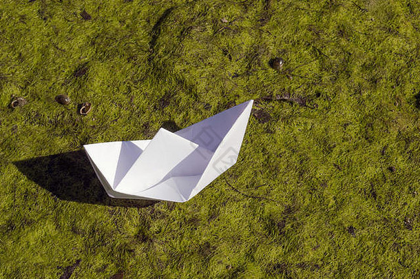 纸船绿色浮萍