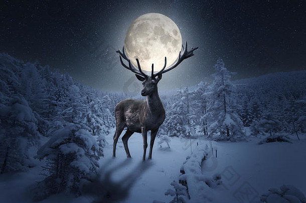 大鹿穿完整的月亮鹿角雪冬天晚上
