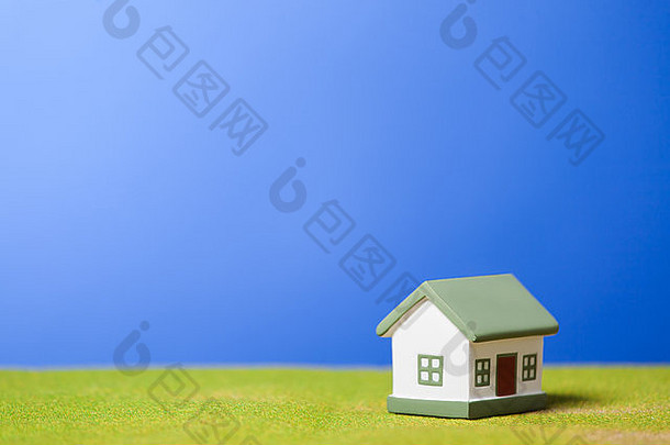 房子草概念上的图像
