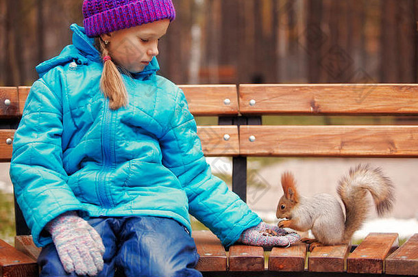 女孩喂养红色的松鼠板凳上