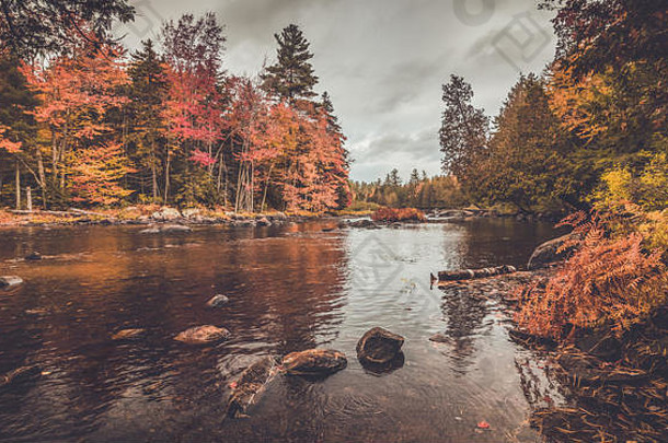 德高望重的河包围才华横溢的秋天树叶长湖理应山