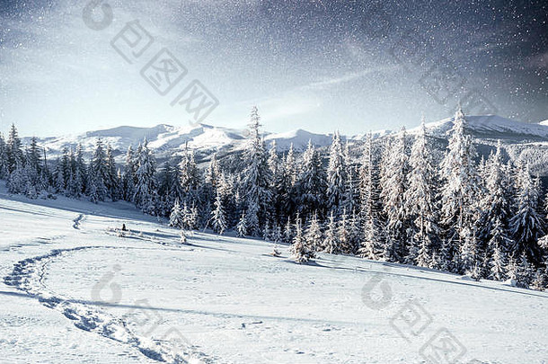 神奇的冬天流星淋浴白雪覆盖的山喀尔巴阡山乌克兰欧洲
