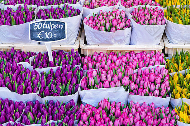 郁金香出售bloemenmakrt花市场阿姆斯特丹