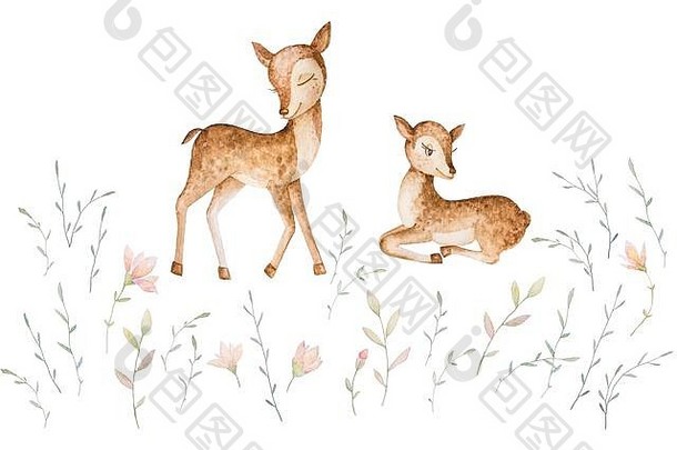 森林动物鹿睡觉草地森林花草水彩集婴儿剪纸艺术白色背景打印质量
