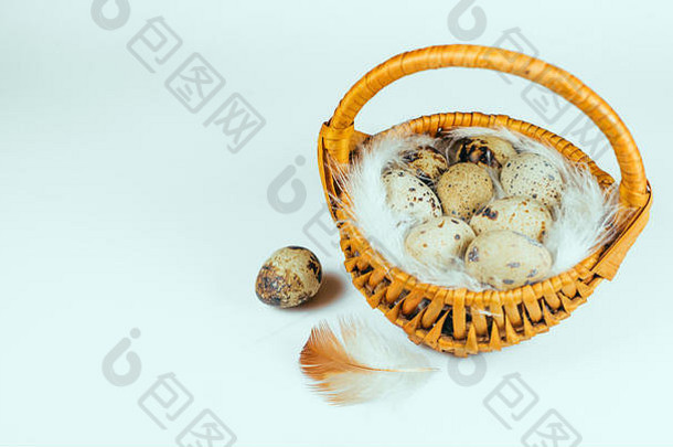 小篮子鹌鹑鸡蛋羽毛前视图复活节狩猎背景白色
