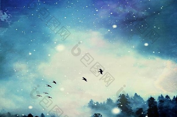 鸟飞行神奇的森林天空
