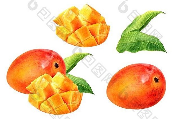 芒果水果水彩孤立的白色背景